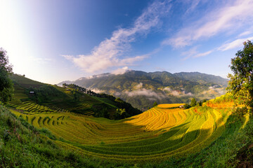 Rice fields on terraced of Mu Cang Chai, YenBai, Vietnam.