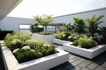 Monochrome Elegance: Minimalist Rooftop Gardens with Stylish Plant Selections
