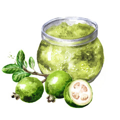 Delicious feijoa jam and fresh fruits. Watercolor hand drawn illustration,  isolated on white background