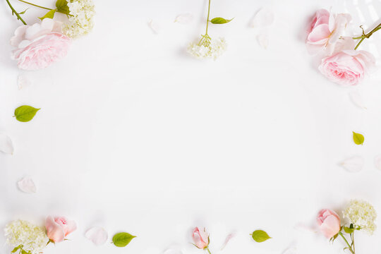 Festive flower composition on white background. Overhead view, flat lay, frame