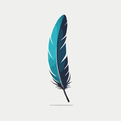 Colorful feather illustration
