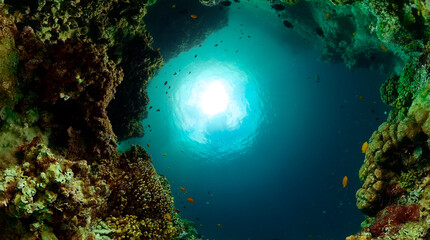 Fototapete bei efototapeten.de bestellen   