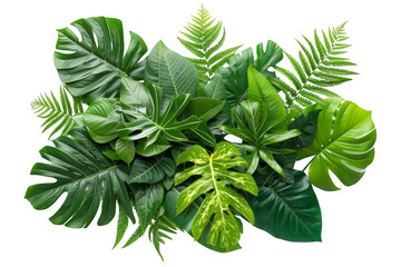 Isolated tropical leaves forming a loose cluster on a transparent backdrop. Nature's tropical elegance.