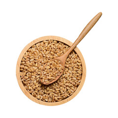 Whole wheat grain in wooden bowl with spoon, Top view