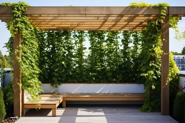 Creeping Vine adorned Pergolas: Minimalist Seating in Stunning Rooftop Garden Designs