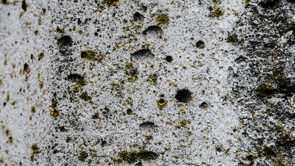 texture of old macro concrete gray color