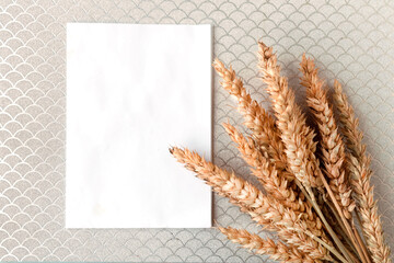 Bunch of wheat ears and white mockup blank on silver background. Agriculture concept in minimalism...
