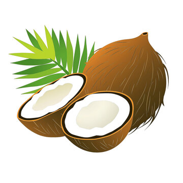 coconut halves with green palm leaf clip art preview