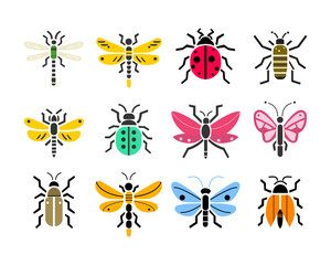 vector insect illustration