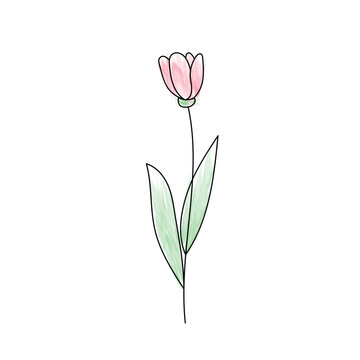 recommend clip art: Outline tulip flower watercolor.