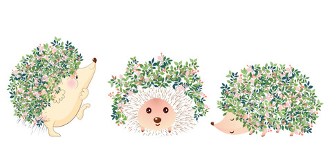 hedgehog tree spring green bloom © Luiza