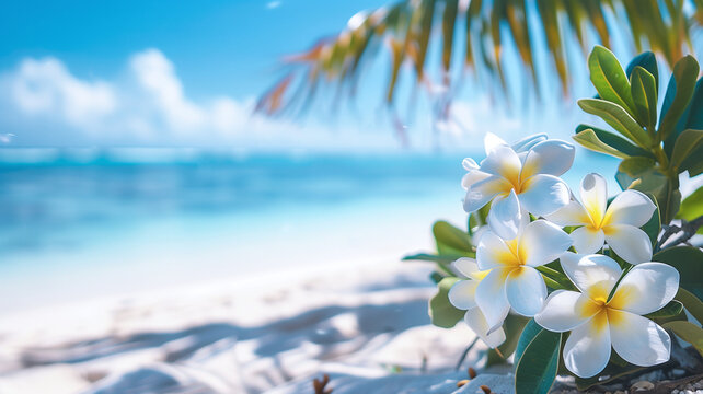 Summery plumeria flowers against a blurred beach backdrop, perfect for serene and vibrant summer backgrounds