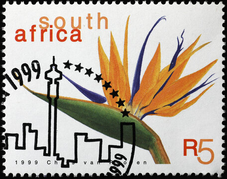 Beautiful flower of Strelitzia, native to South Africa on postage stamp