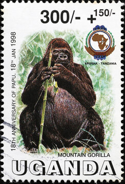 Birthday of mountain gorilla Papu celebrated on stamp from Uganda