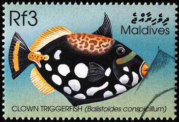 Clown triggerfish on postage stamp from Maldives