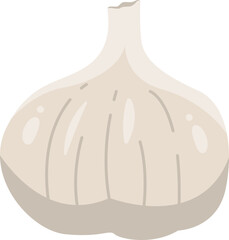 garlic vector illustration