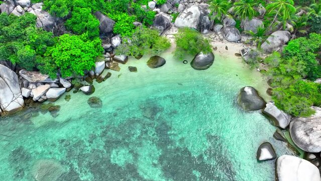 A harmonious union of coastline, beach, and rocks, framed by vibrant greenery and towering coconut trees. Here, the serene embrace of clear waters captivates the soul. Thailand. Island background. 
