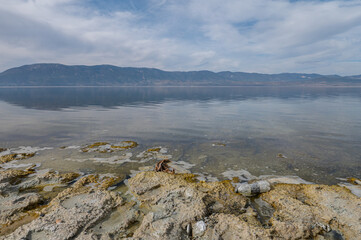 Fototapeta premium Pollution in Lake Burdur and plastic bottles thrown into the lake.