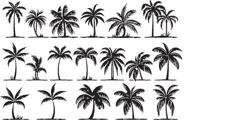 Fototapeta na wymiar Palm trees silhouettes flat vector