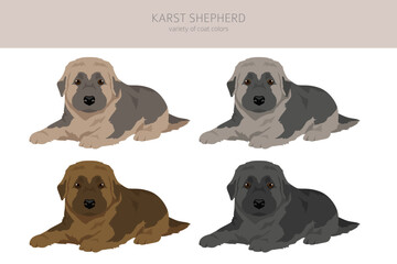 Karst shepherd dog puppy clipart. Different coat colors set