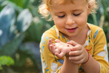 the child holds a ladybug in his hands. Selective focus.