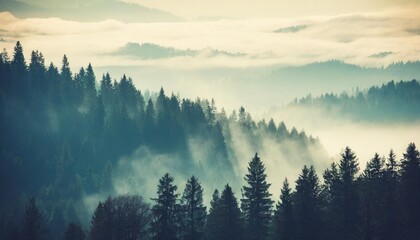 misty landscape with fir forest in vintage retro style