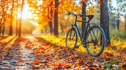 Keuken spatwand met foto Bicycle in autumn park © Ignacio Ferrándiz