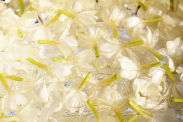 Water with jasmine flower in silver bowl. Thai tradition, Songkran festival concept