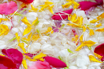 Water with jasmine flower, marigold petal and rose petal in silver bowl. Thai tradition, Songkran festival concept