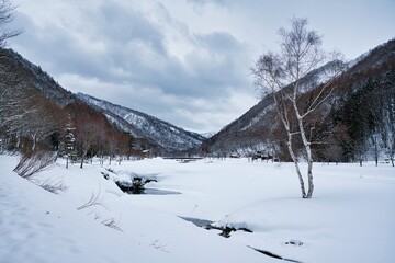 Fototapeta na wymiar 冬の檜枝岐村の風景