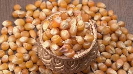 Raw Corn Seeds or Corn kernels are from Maize is a grain, and the kernels are used in cooking as a vegetable or a source of starch.