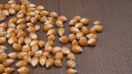 Raw Corn Seeds or Corn kernels are from Maize is a grain, and the kernels are used in cooking as a vegetable or a source of starch.