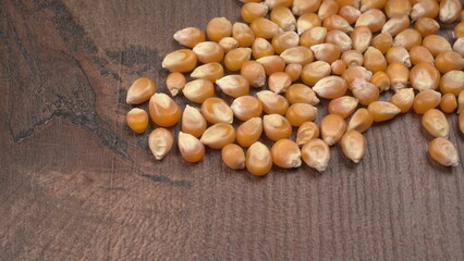 Raw Corn Seeds or Corn kernels are from Maize is a grain, and the kernels are used in cooking as a vegetable or a source of starch.