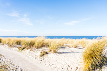 Coastal dunes at the baltic sea in Lubmin on a sunny day with wooden walkway in the foreground