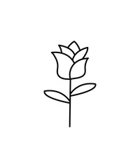 rose flower icon, vector best line icon.
