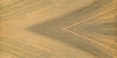 Walnut wood, can be used as background, wood grain texture