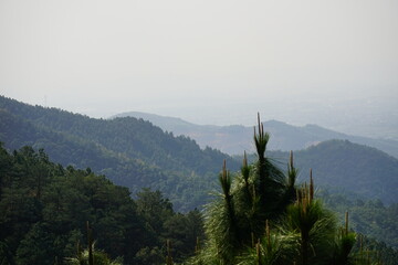 Tropical mountain landscape