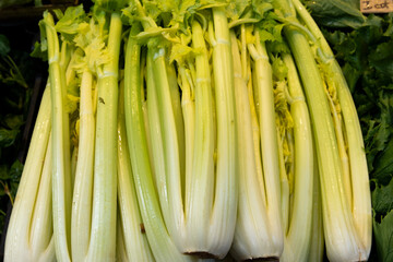 vegetables on sale at the market, Italy