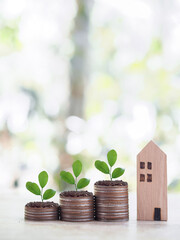 Fototapeta na wymiar Miniature house and plants growing up on stack of coins. The concept of saving money for house, Property investment, House mortgage, Real estate.