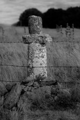 Ancienne croix en pierre en Aubrac