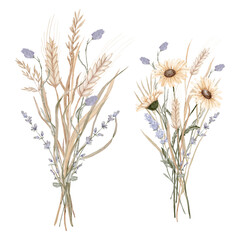 Bouquets of wild flowers and spikelets