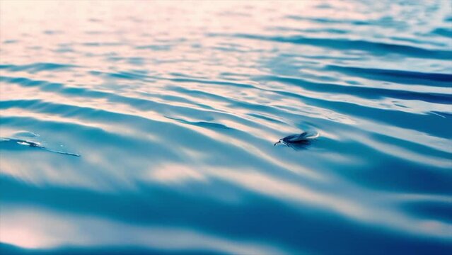 Sunny blue rippled water surface