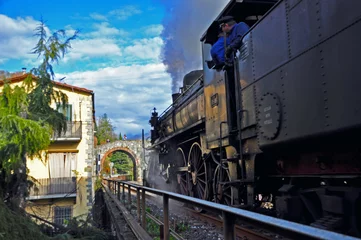 Photo sur Plexiglas Ponte Vecchio treno a vapore