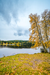 Landscape at the Windgfällweiher near Lenzkirch in the Black Forest. Nature by the lake in autumn.
