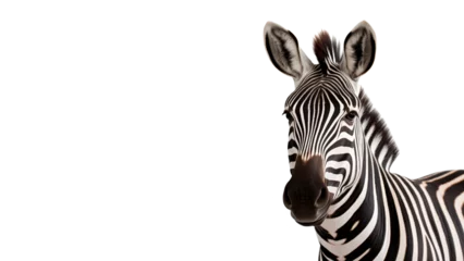 Papier Peint photo Lavable Zèbre Zebra animal cut out. Isolated zebra animal on transparent background