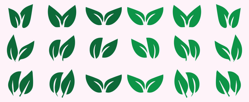 Vector green leaf icons set leaves icon on isolated background collection green leaf elements...
