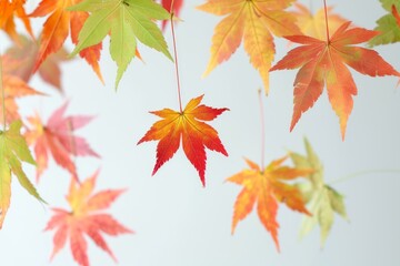 Fototapeta premium Nature's magic: Maple leaves suspended in mid-air, a captivating phenomenon.