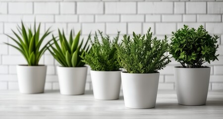  Brighten up your space with these vibrant green plants!