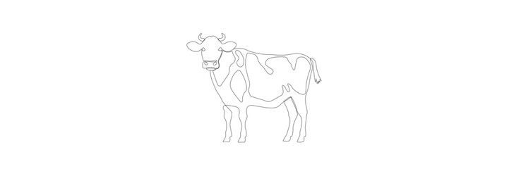 Cow. continuous line on white isolated background