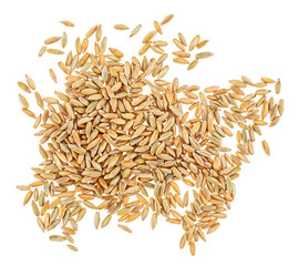 Raw rye grains isolated on a white background, top view. Healthy grains and cereals. Rye kernels.